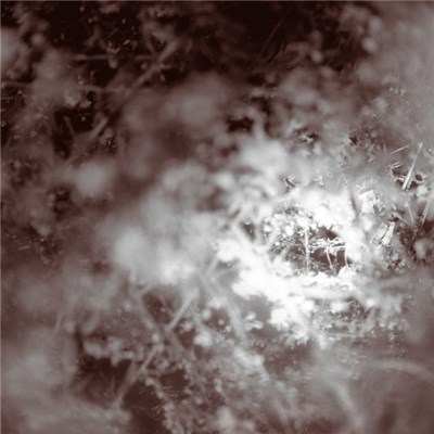 Mike Weis - Don’t Know, Just Walk download mp3 flac