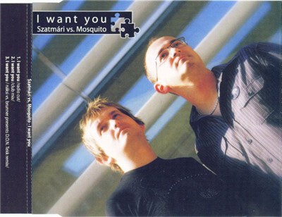 Szatmári vs. Mosquito - I Want You download mp3 flac