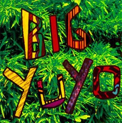 Los Pericos - Big Yuyo download mp3 flac