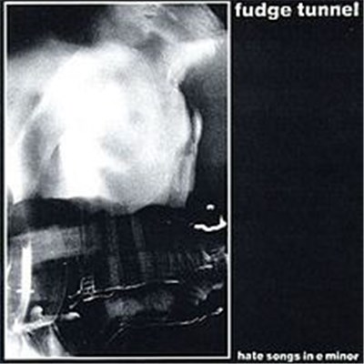 Fudge Tunnel - Hate Songs In E Minor download mp3 flac