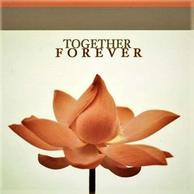 DJ's Choice - TOGETHER FOREVER download mp3 flac