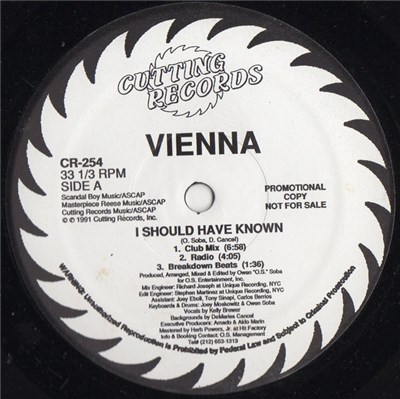 Vienna - I Should Have Known download mp3 flac