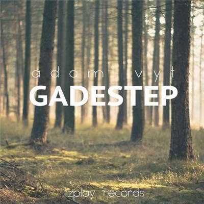 Adam Vyt - Gadestep download mp3 flac