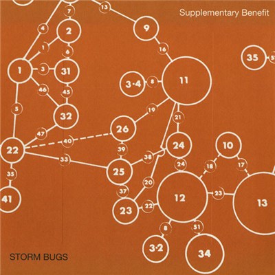 Storm Bugs - Supplementary Benefit download mp3 flac