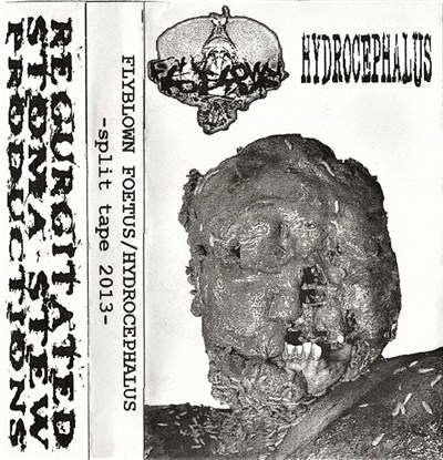 Flyblown Foetus / Hydrocephalus - Split Tape 2013 download mp3 flac