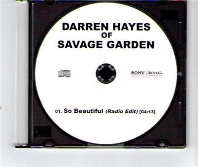 Darren Hayes - So Beautiful download mp3 flac
