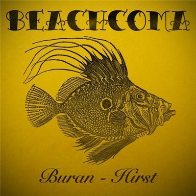 Buran - Hirst download mp3 flac