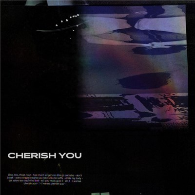 Mikky Ekko - Cherish You download mp3 flac