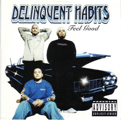 Delinquent Habits - Feel Good download mp3 flac