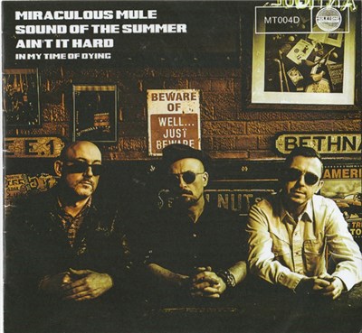 Miraculous Mule - Sound Of The Summer download mp3 flac