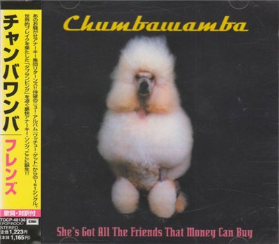 Chumbawamba - She's Got All The Friends That Money Can Buy download mp3 flac