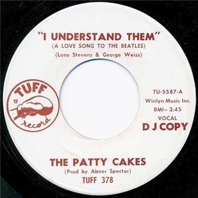 The Patty Cakes - I Understand Them (A Love Song To The Beatles) download mp3 flac