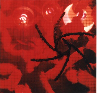 Det Wiehl - Sicks download mp3 flac