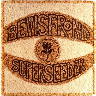 The Bevis Frond - Superseeder download mp3 flac