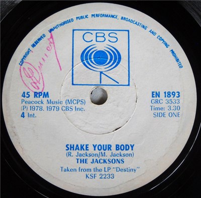 The Jacksons - Shake Your Body download mp3 flac