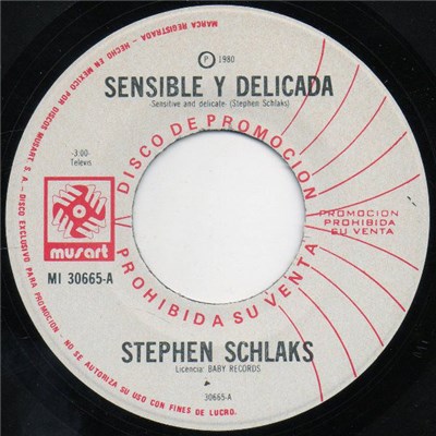 Stephen Schlaks - Sensible Y Delicada (Sensitive And Delicate) download mp3 flac