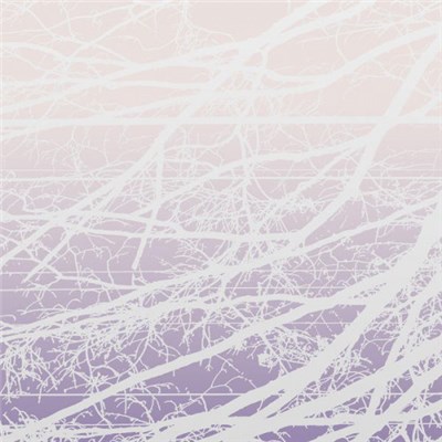Lea Bertucci - Metal Aether download mp3 flac