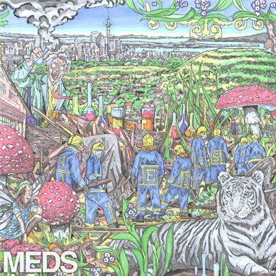 Mt Eden - Meds download mp3 flac