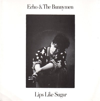 Echo & The Bunnymen - Lips Like Sugar download mp3 flac