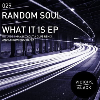 Random Soul - What It Is EP download mp3 flac
