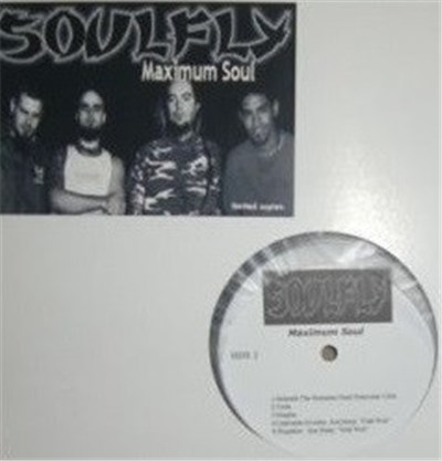 Soulfly - Maximum Soul download mp3 flac