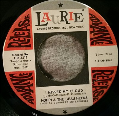 Hoppi & The Beau Heems - I Missed My Cloud download mp3 flac