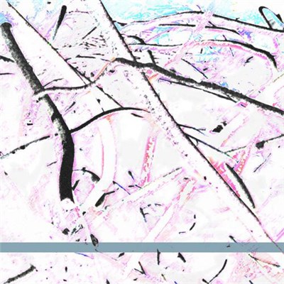 The Fold - 60:00 download mp3 flac
