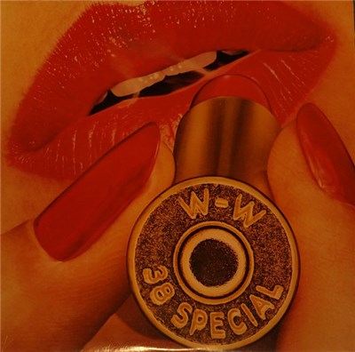38 Special - Rockin' Into The Night download mp3 flac