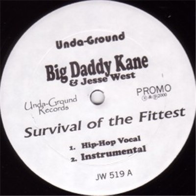 Big Daddy Kane & Jesse West & Xzibit - Survival Of The Fittest / Nights Like This download mp3 flac