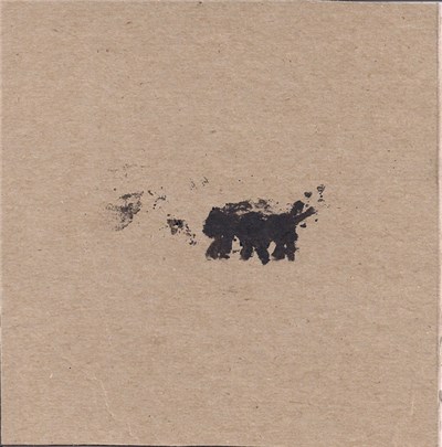 The Ants - Create Meaning download mp3 flac