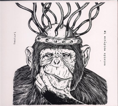 Venturi - Mi Estupida Opinion download mp3 flac