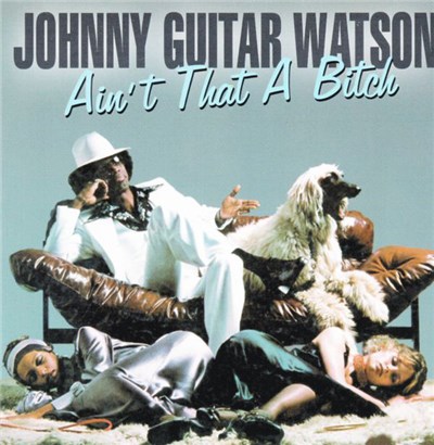 Johnny Guitar Watson - Ain't That A Bitch download mp3 flac