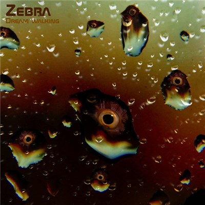 Zebra - Dream Walking download mp3 flac