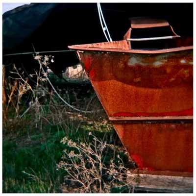Fell To Low - You're Such A Good Champion download mp3 flac