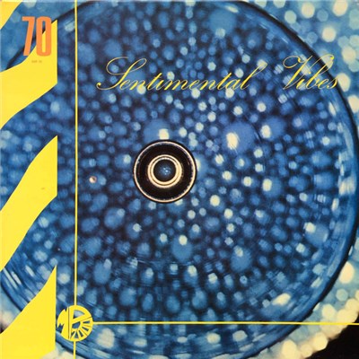 Guy Boyer - Sentimental Vibes download mp3 flac