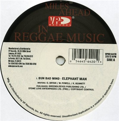 Elephant Man - Bun Bad Mind / Hate Mi download mp3 flac