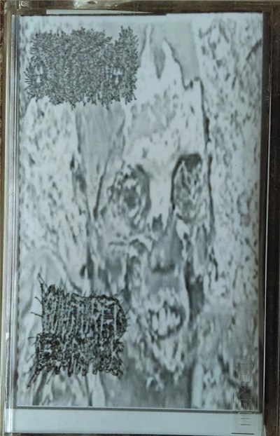 ShitStench, Punctured Esophagus - Split Tape download mp3 flac