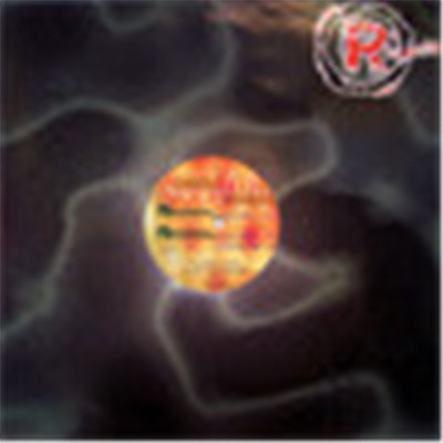 Global Concept - Searching download mp3 flac