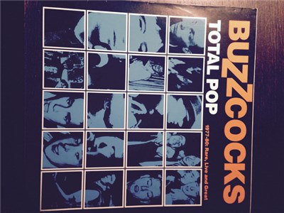 Buzzcocks - Total Pop download mp3 flac