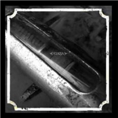Staija - A New Energy download mp3 flac