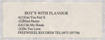 Flava - Boy's With Flavour download mp3 flac