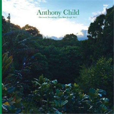 Anthony Child - Electronic Recordings From Maui Jungle Vol 1 download mp3 flac