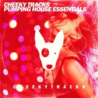 Various - Pumping House Essentials download mp3 flac