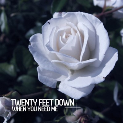 Twenty Feet Down - When You Need Me download mp3 flac