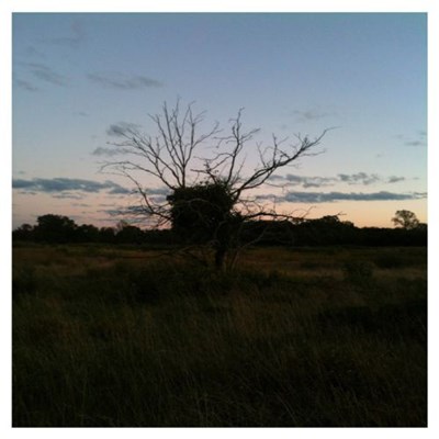 Planning For Burial - An Autumn Cassette Or Leaves Will Bloom, Leaves Will Fall Long After We Are Gone download mp3 flac