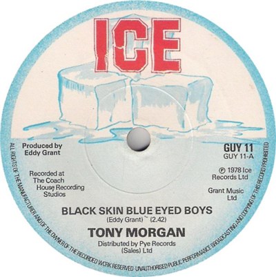 Tony Morgan - Black Skin Blue Eyed Boys / Why Build A Mountain download mp3 flac