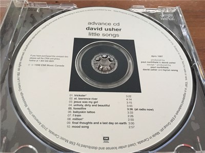 David Usher - Little Songs download mp3 flac
