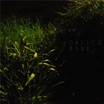Calico Blue - Calico Blue download mp3 flac