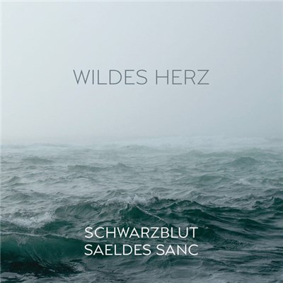 Schwarzblut Vs. Saeldes Sanc - Wildes Herz download mp3 flac