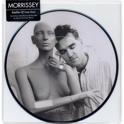 Morrissey - Satellite Of Love (Live) download mp3 flac